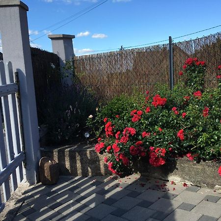 Les Magnolias En Alsace - Meuble De Tourisme 3 Etoiles Apartamento Barembach Exterior foto