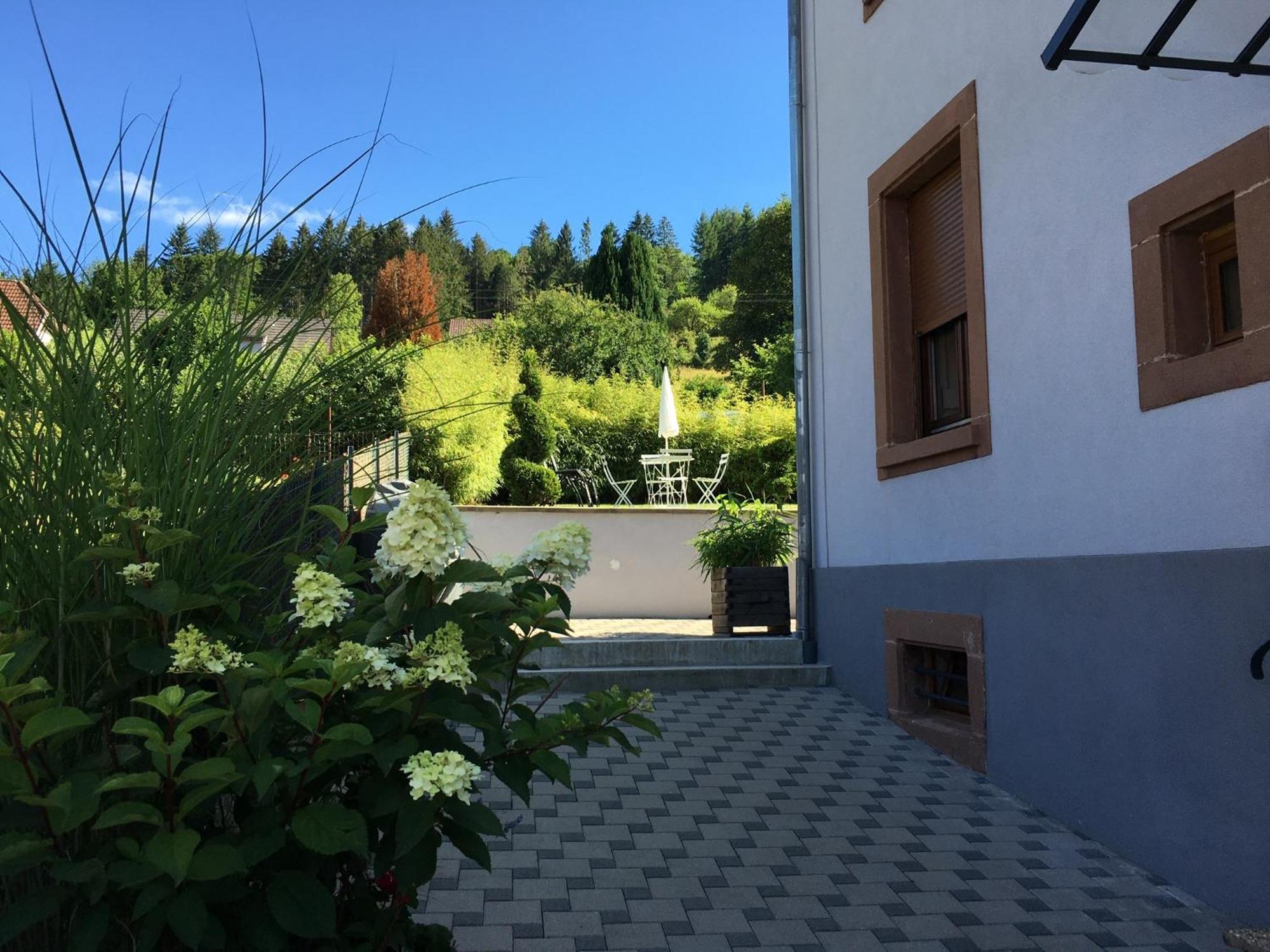 Les Magnolias En Alsace - Meuble De Tourisme 3 Etoiles Apartamento Barembach Exterior foto